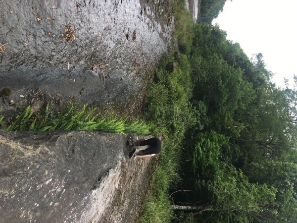 分遣所、斜壁2774348