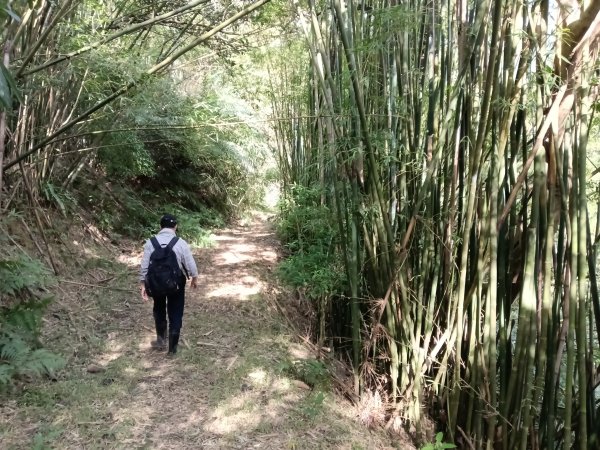 頭城鎮龜山車站+北關山豬線+叢雲山+梗枋古道出龜山車站O型3007600