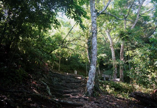 馬那邦山、細道邦山步道1390599