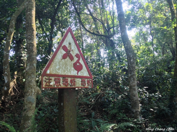 【山岳之美】~馬那邦山5729