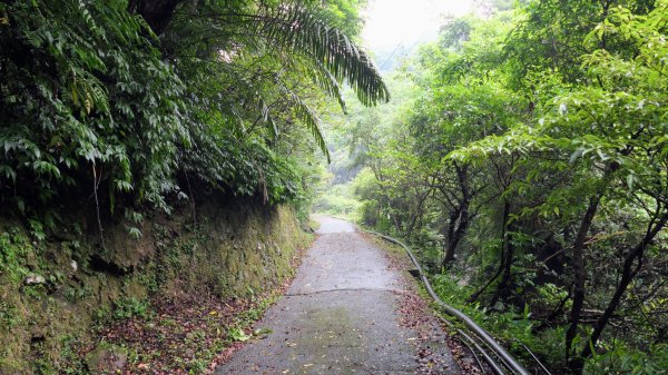 貂山古道,琉榔路觀光步道2590540