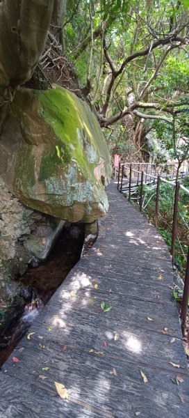 松溪瀑布及天母水管路古道2187814