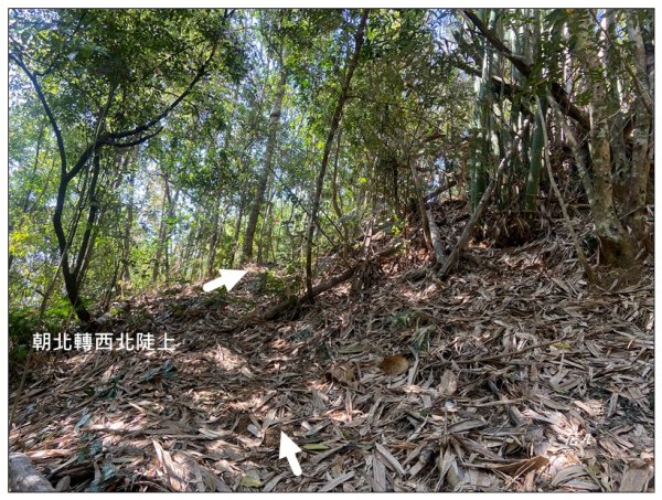 向山、向山遊客中心2747258