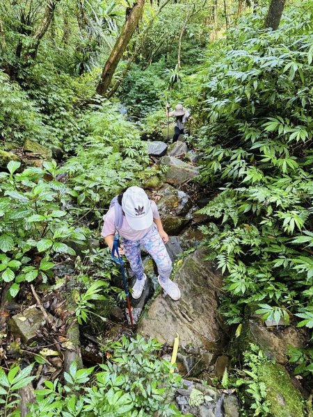 20250803枋山坑古道2850491