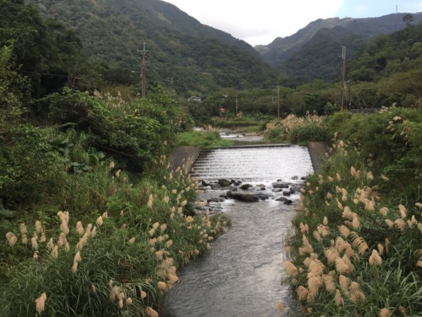 淡蘭古道-燦光寮古道沿著雙蕨葉指標而行485327