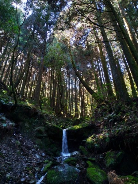 檜山巨木群步道1662880