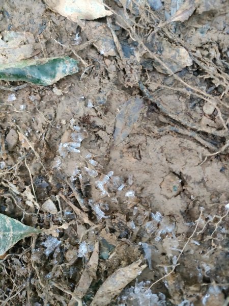 雪季北得拉曼2956373