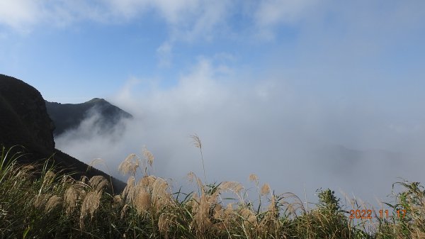 陽明山雲海季6日內連三場+流瀑+觀音圈，天空之城 ?大水沖倒龍王廟 ?水淹金山寺 ?1915929