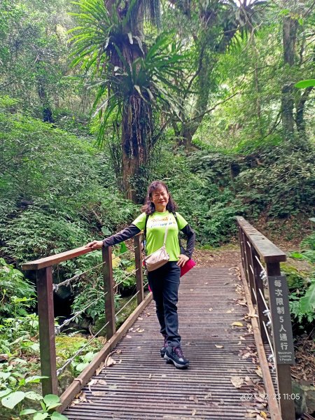 四訪苗栗的花果山-小百岳#037馬那邦山、雪霸國家公園管理處【小百岳集起來、苗栗-臺灣百大必訪步道】2394321