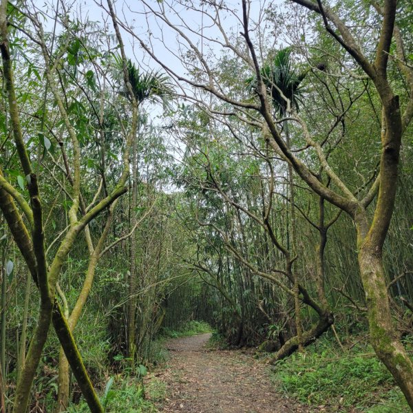 關仔嶺大凍山（小百岳）