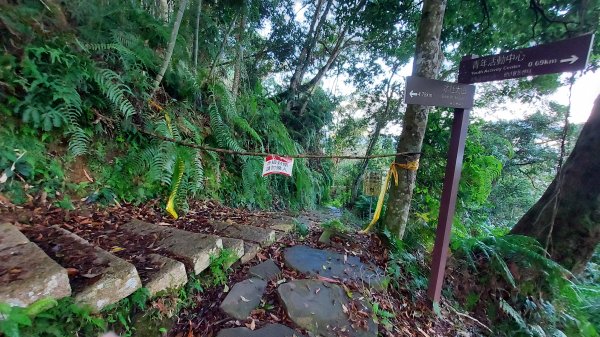 水社大山 水社主峰1597924