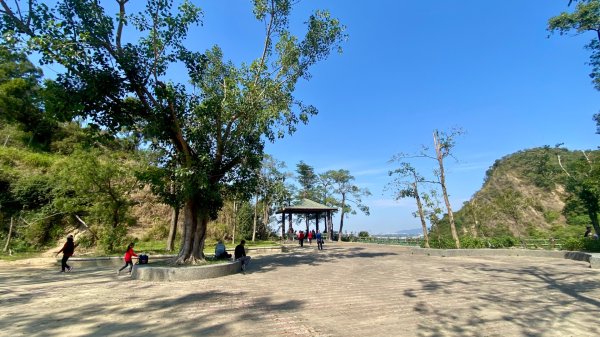 大社觀音山(小百岳#75)2730789