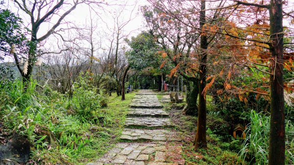 汐止大尖山2971889