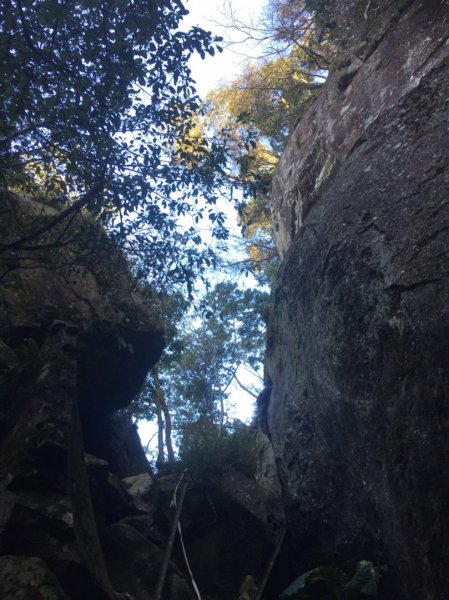 加里山前山、鐵道遺跡、索道、香菇寮2052749