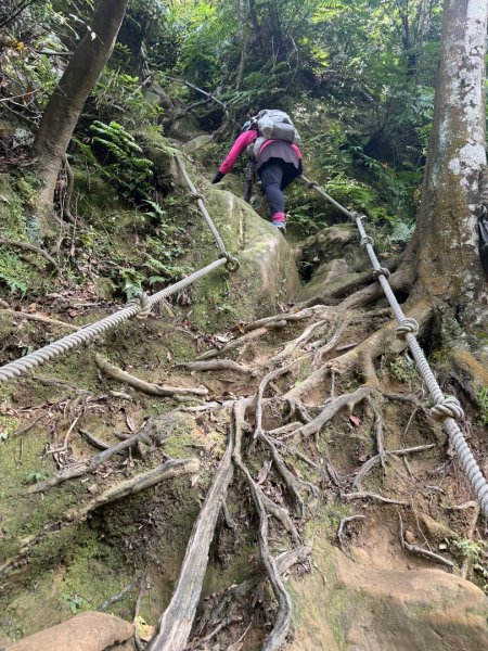 銀河洞越嶺貓空-新高麗坑山-銀獅縱走-猴山岳群峰+三條魚縱走2765365