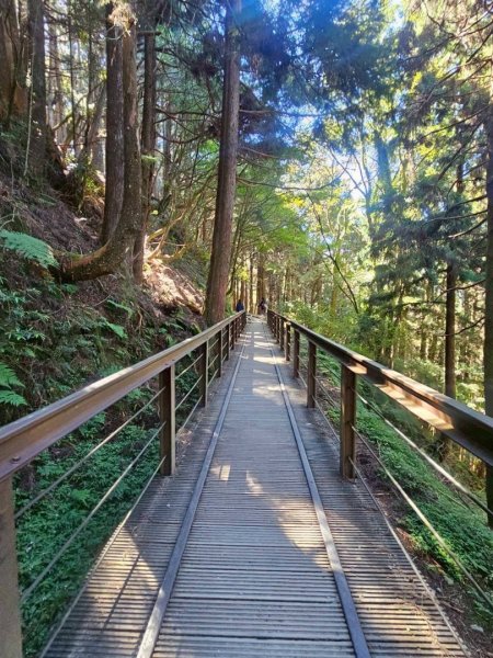 1141122特富野古道2945779