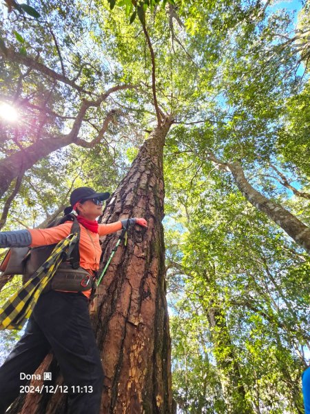 【谷關七雄】波津加(H1771.6m)肉腳配速成功2670453