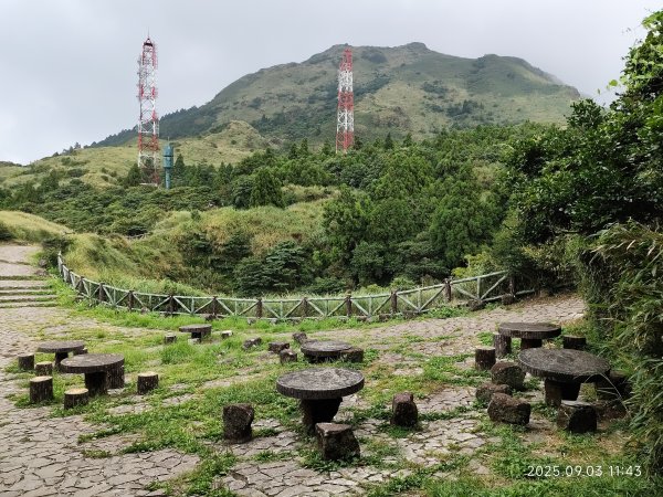 【臺北大縱走 2、3、4】冷水坑→七星山主東峰步道→冷擎步道→小油坑→鵝尾山→內湖許願步道