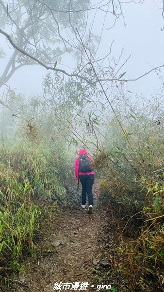 【台南。 南化】迷霧山徑。 小百岳集起來。 編號70小百岳~刣牛湖山登山步道1610481