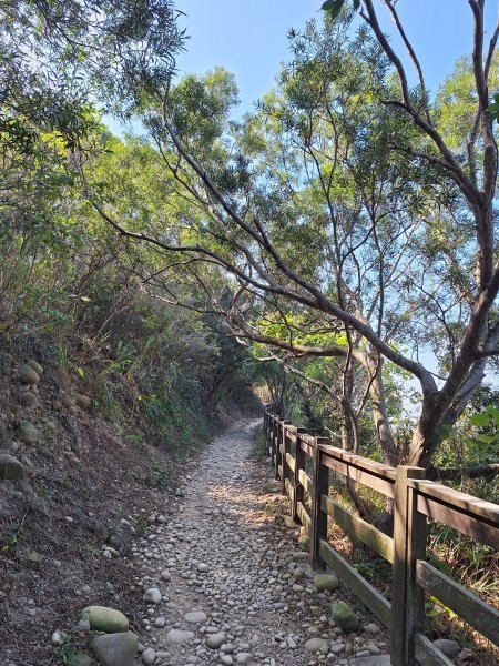 大肚環保公園步道+大尖山+萬里長城步道萬里長城步道202512072956503