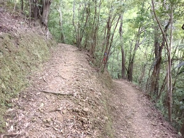 平溪區淡蘭山徑-平湖西步道+內平林山+東步道O型2769917