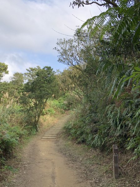 台灣小百岳No.011姜子寮山908422