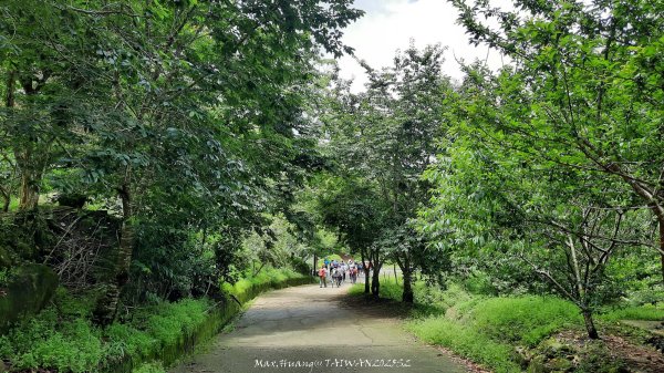 《雲林》望好望角｜石壁山嘉南雲峰步道(中側登山口）202506072805314