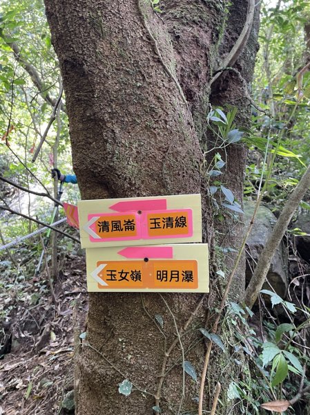 小觀音山清玉線2756611