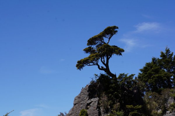 台灣最高峰玉山之巔642782