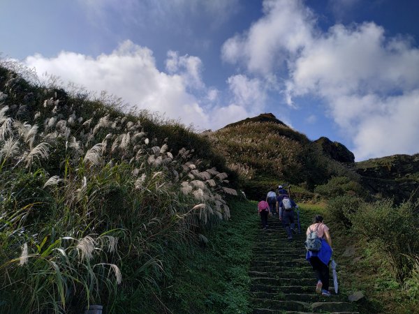 茶壺山賞芒,煙囪稜看海1186586