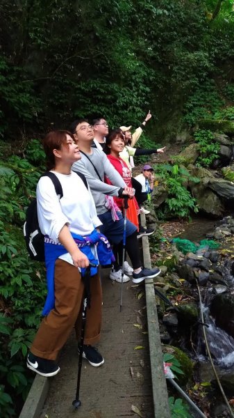 療癒系抹茶山，小百岳三角崙山，五峰旗瀑布1029841