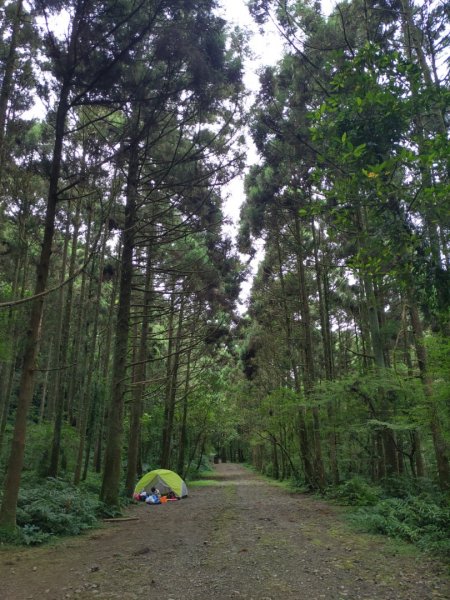 雙溪坪溪古道泰平國小1675922