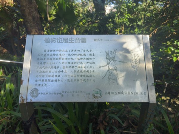 2026.01.25－微笑山線：【天上山系】烘爐地土地公段2994577