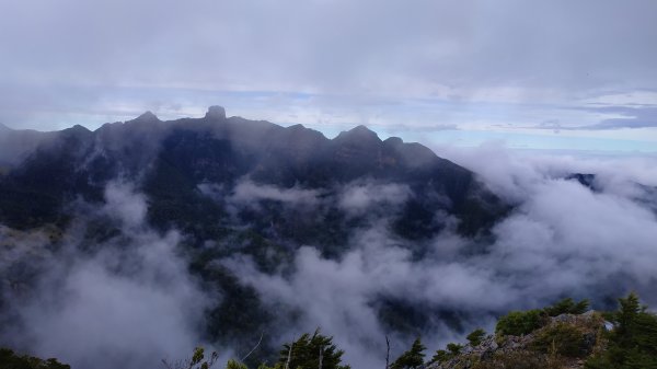 武陵四秀成兩袖(一秀加一宿)1142493