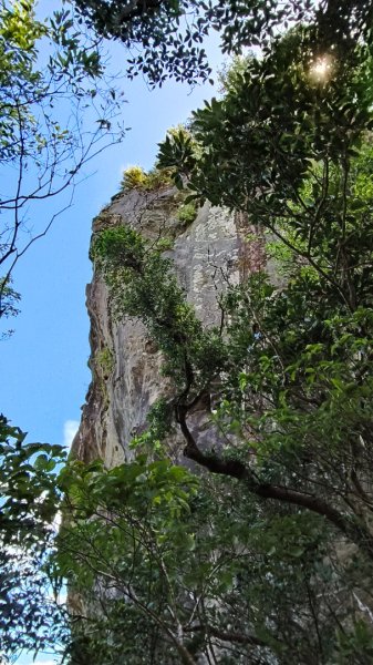 叮叮叮：一個人的微笑山線😊2917428