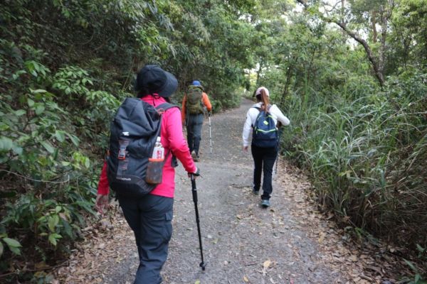 谷關七雄東卯山305506