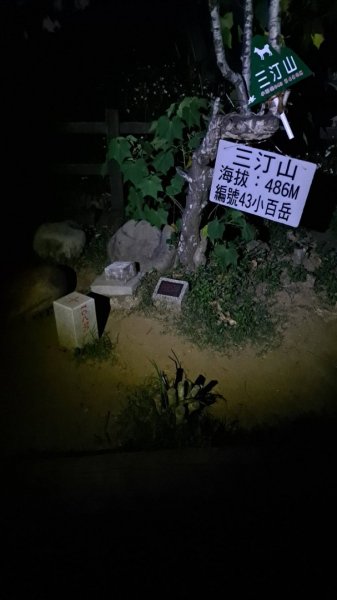 小百岳#43_三汀山︳野狗多待改進1150464