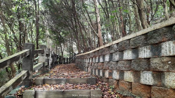 《嘉義》雲霧茶園｜雲嘉三加一連峰O繞202406082520277