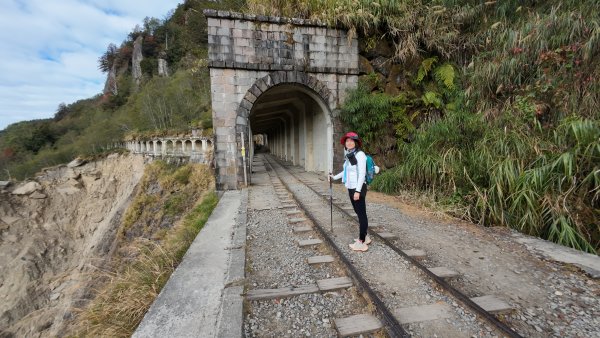 阿里山眠月線2972773