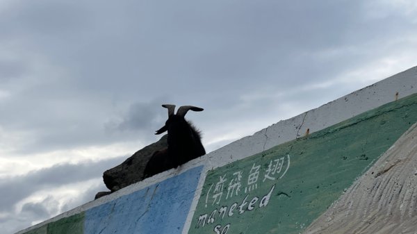 蘭嶼三天三夜-紅頭山小百岳完百小旅行2752627