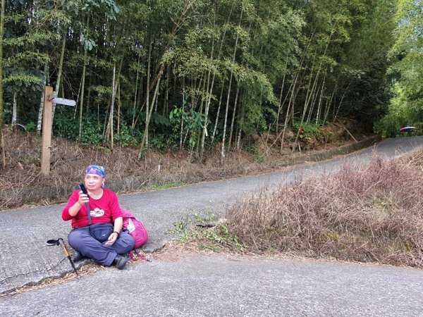 【雲嘉茶園之美】後棟山連走大二尖山1532233