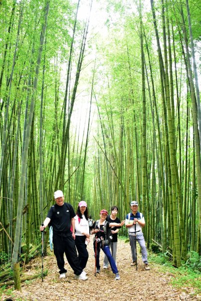 20260805阿里山石棹大凍山攀登3097058