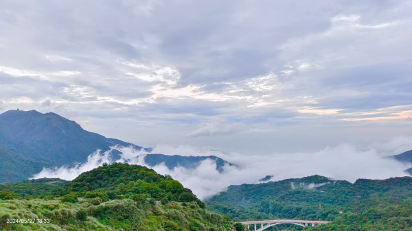 金山灣雨瀑+漁火點點，追花是簡單的快樂，賞花是恬淡的幸褔2513394