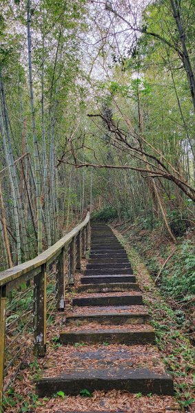 2025-01-19孝子路步道、大巃頂2694244