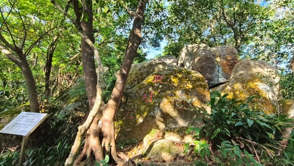 叮叮叮：一個人的微笑山線😊2917429