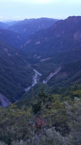 玉山主峰步道 2017 06 27140387