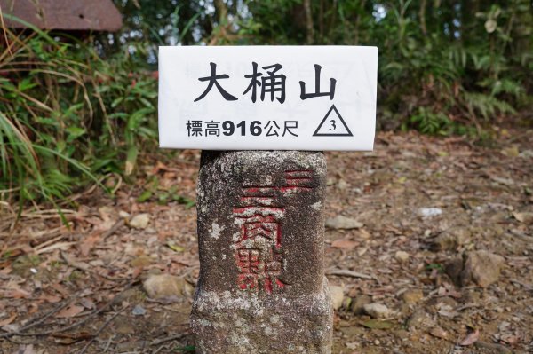 新北 烏來 大桶山、火燒樟山2728783