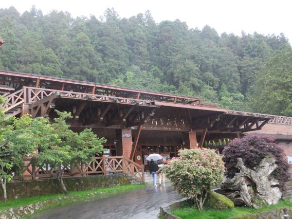 阿里山神木212169