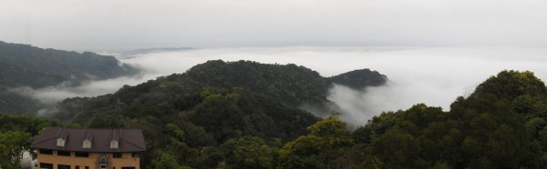 司馬限林道首登東洗水山&薑麻園雲洞山莊2078593