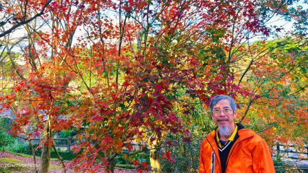 #花卉試驗中心 #永公路500巷 #平菁街42巷 #原住民公園 #士林官邸 1/42976559